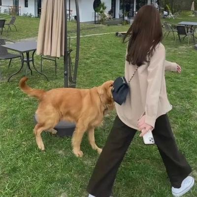 水的旅行者
