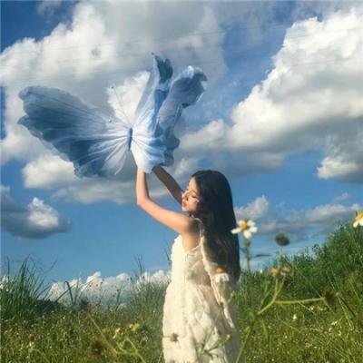 我的英雄学院：两位英雄