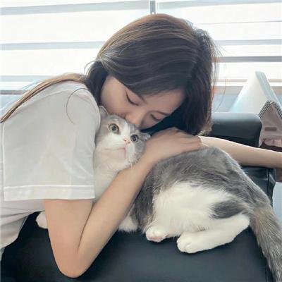 校花冒牌男友